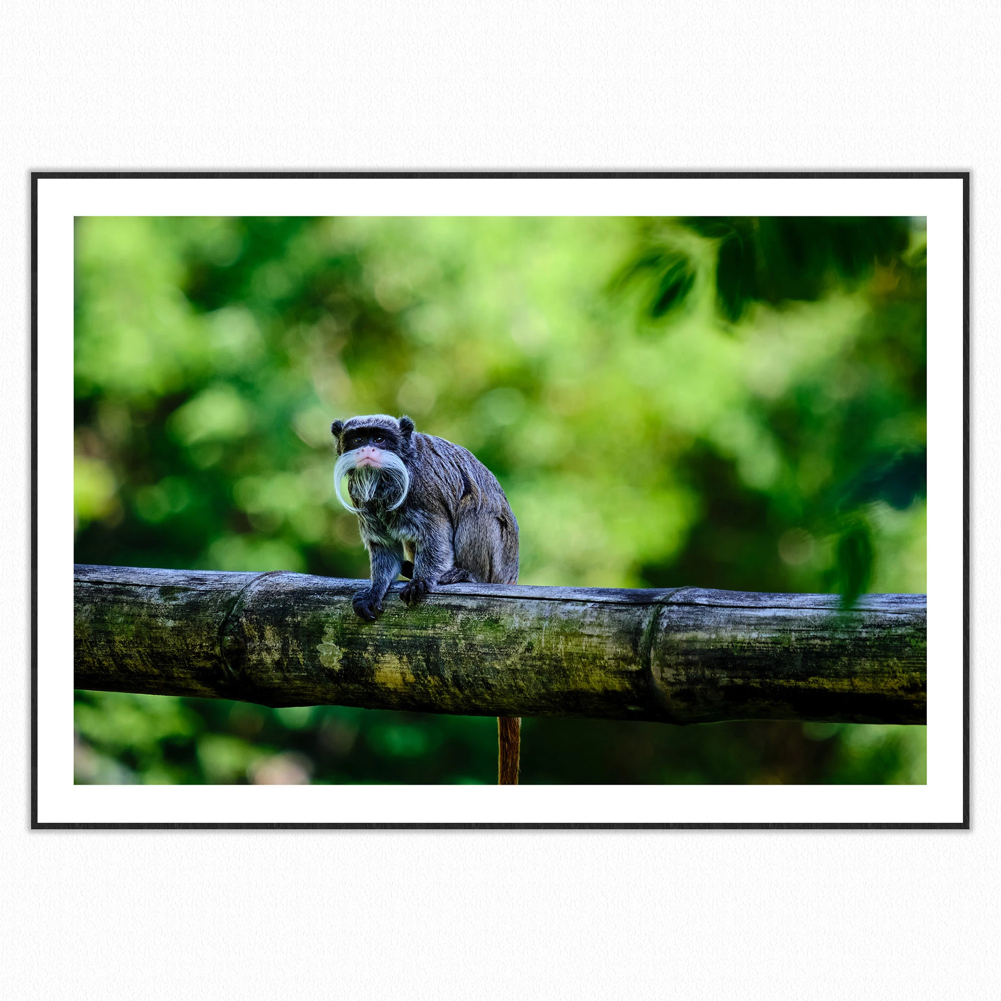 23043_Martinique_3-2